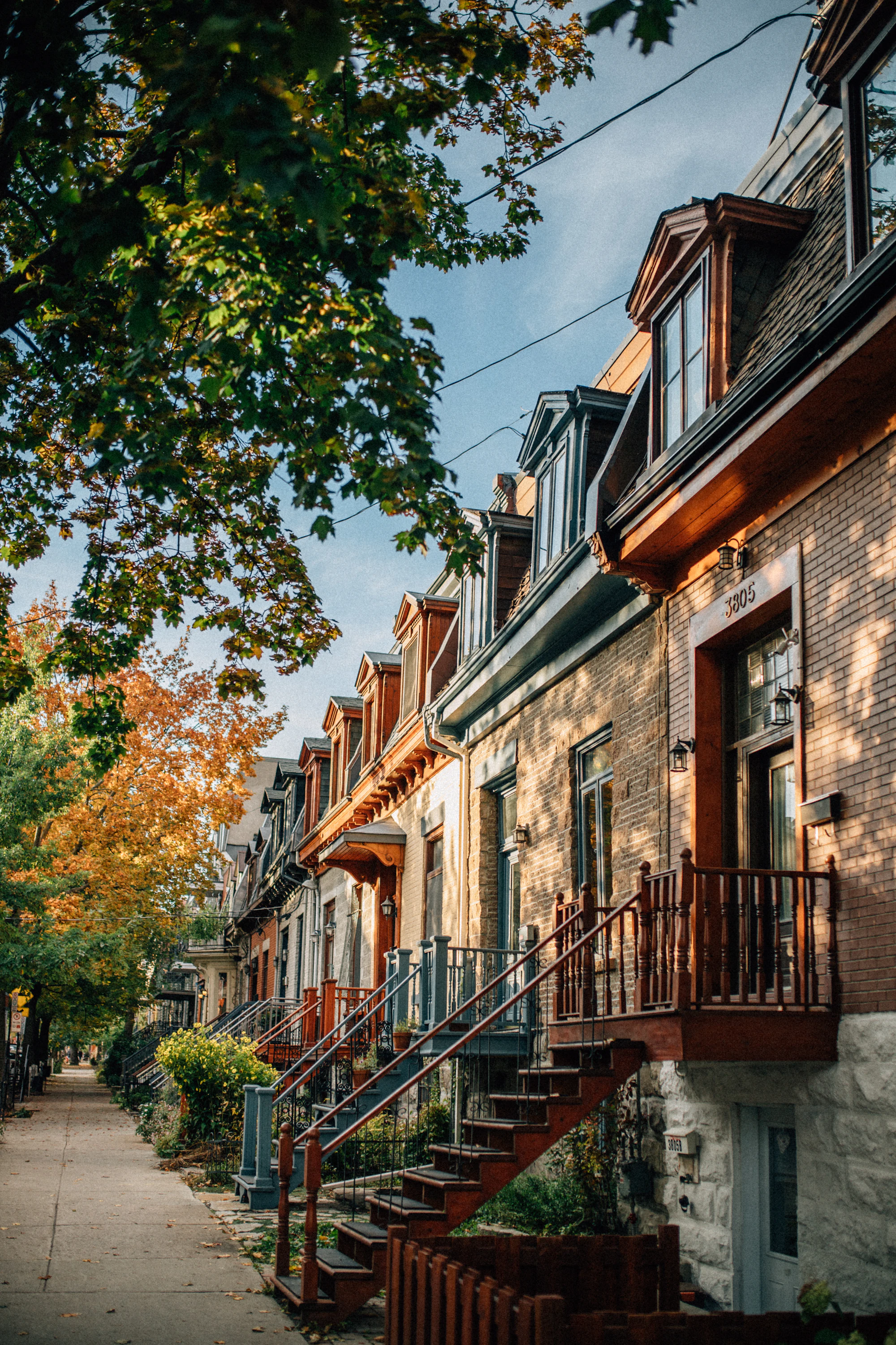 Brick row houses in autumn