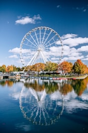 Ferris wheel beside trees near body of water