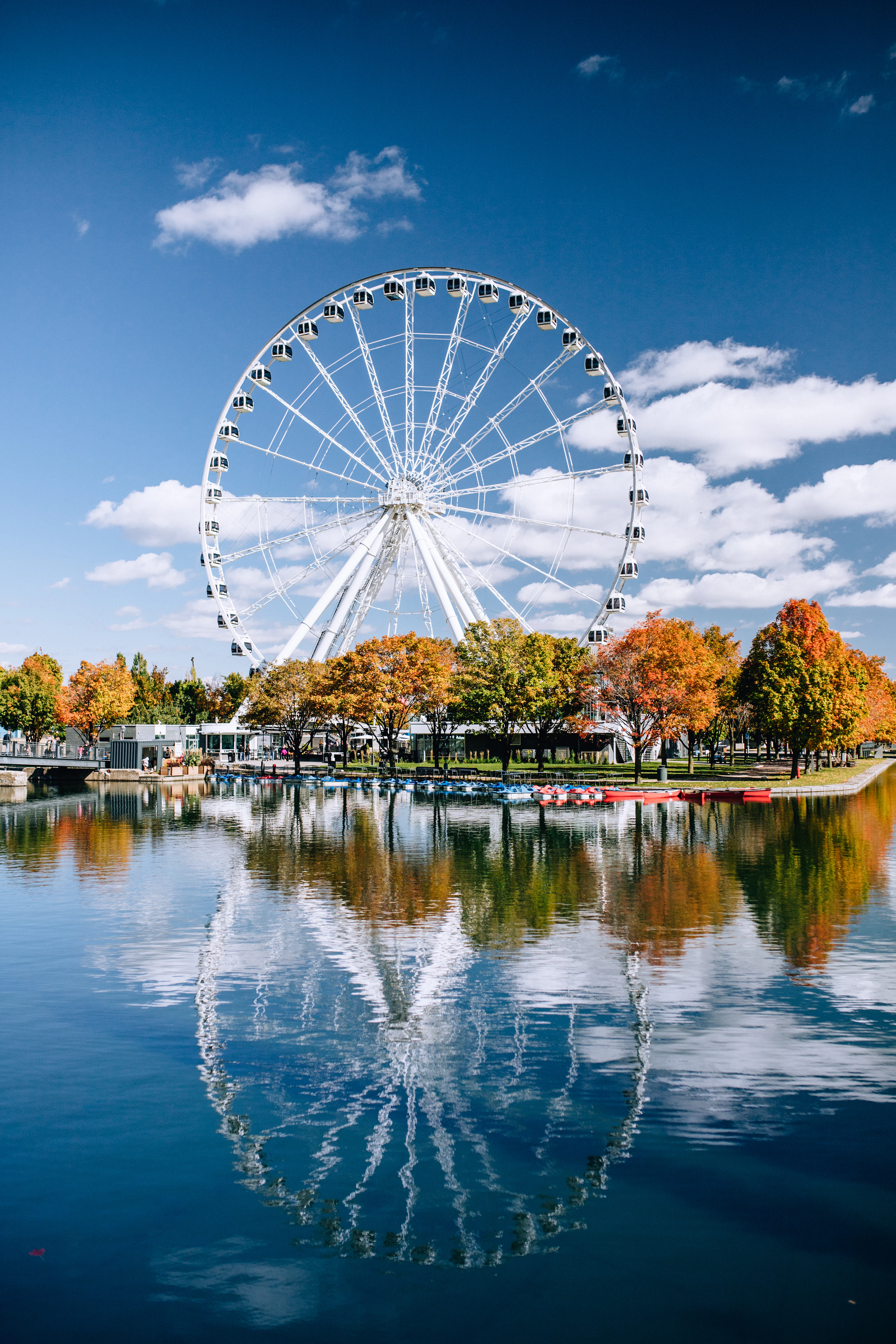 La Grande Roue, the white observation wheel at Montreal's Old Port, reflected in the water and framed by trees in autumn colour