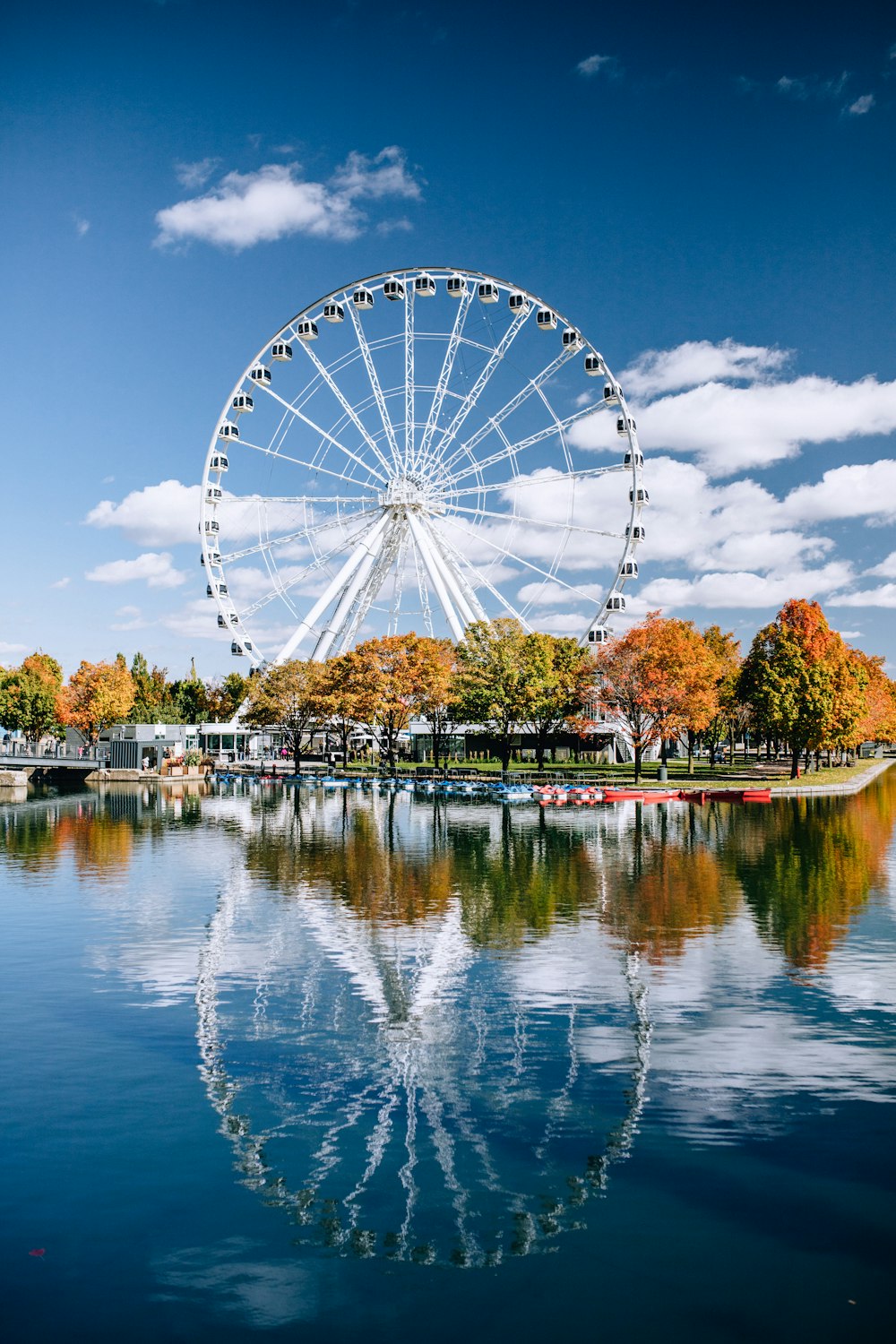 Ferris wheel beside trees near body of water