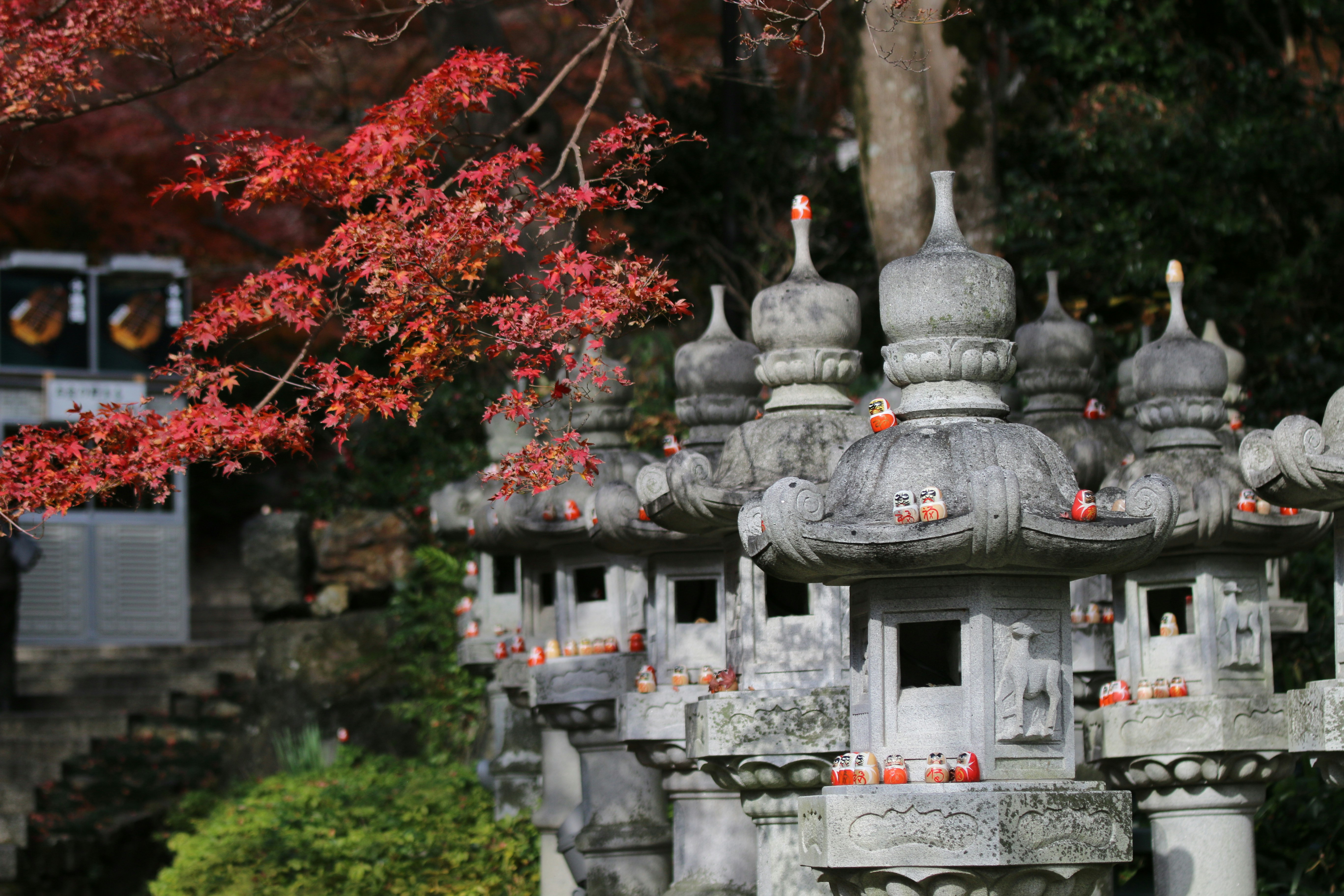 Photo by takoyakiboy