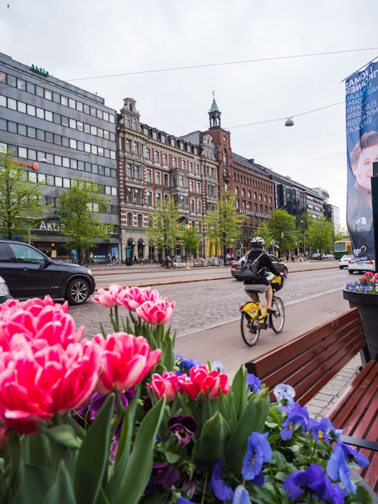people riding on bicycle during daytime in Three Smiths Statue Finland