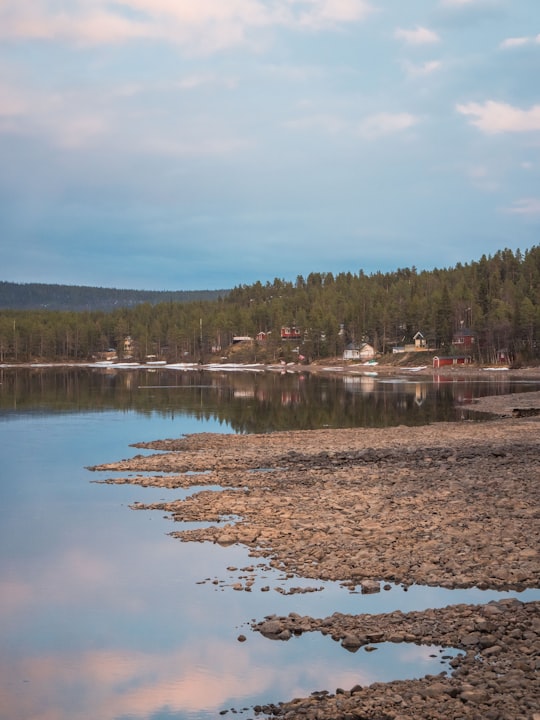 houses near body of water surrounded with green trees under blue and white sky in Kiruna Sweden