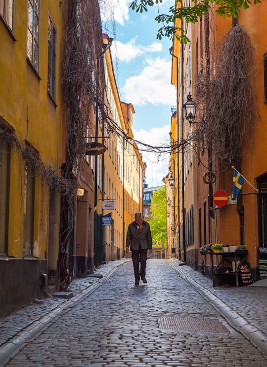 person walking on pathway in Gamla stan Sweden