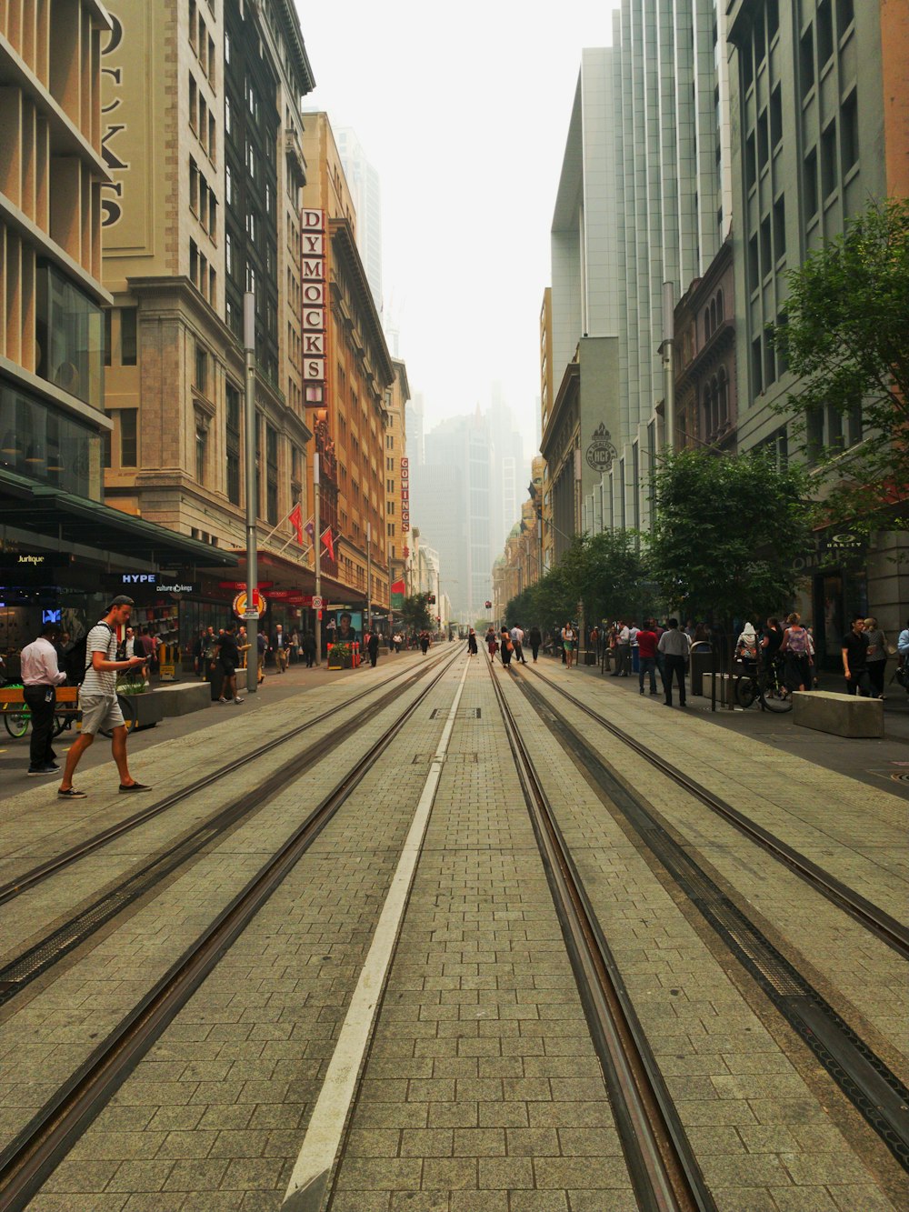 people walking on road