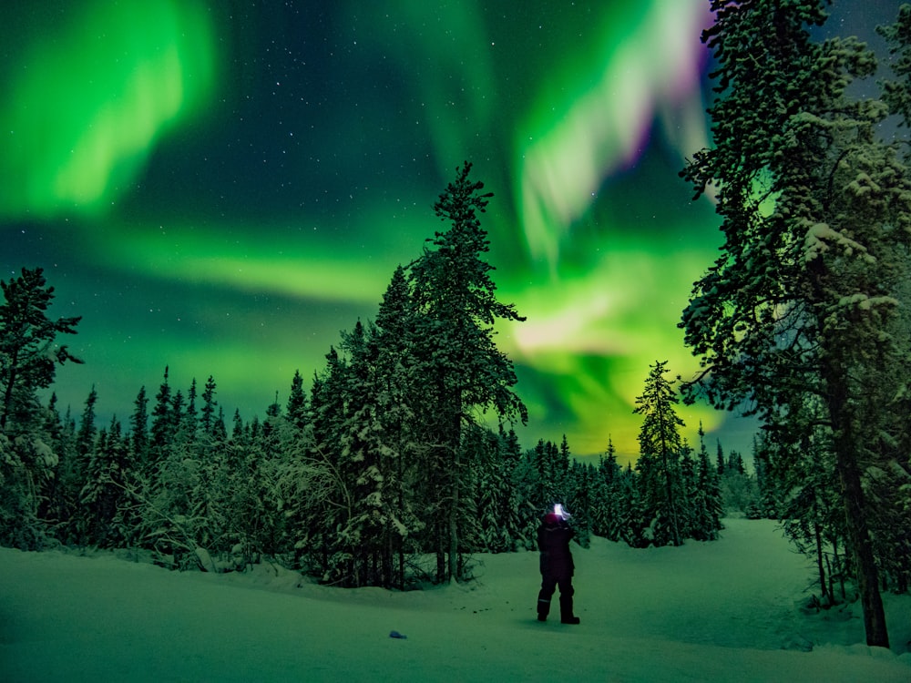 homme debout sur un champ de neige avec des arbres sous les aurores boréales