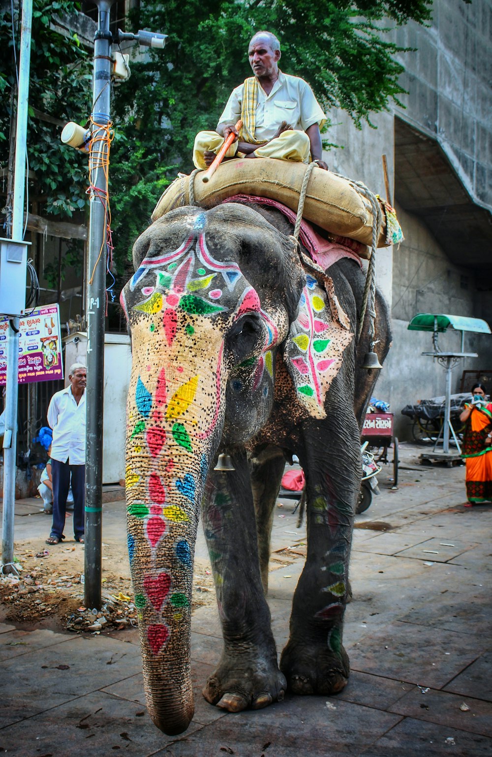 man riding elephant beside post