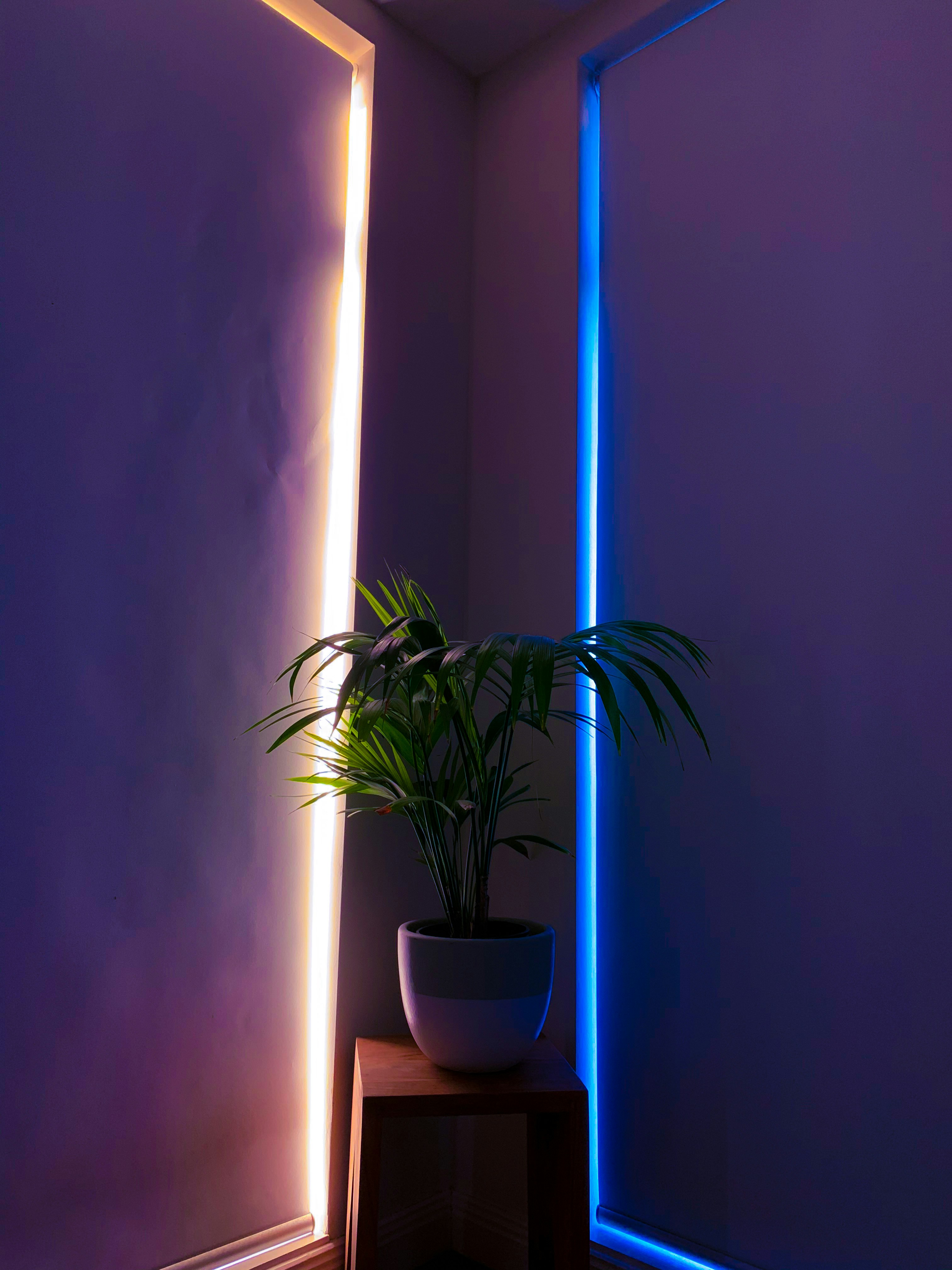 Torre de cultivo interior con luces LED