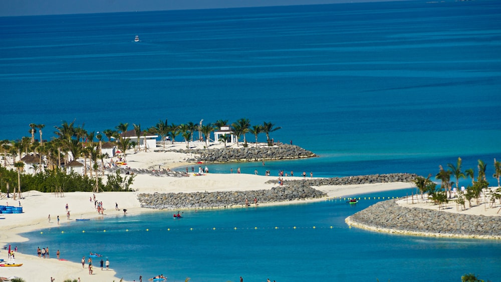 people on beach during daytime