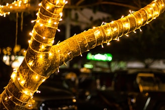 Close-up of twinkling LED lights wrapped around a tree trunk in a yard, pulsing gently to a musical beat.