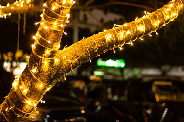 Close-up of twinkling LED lights wrapped around a tree trunk in a yard, pulsing gently to a musical beat.