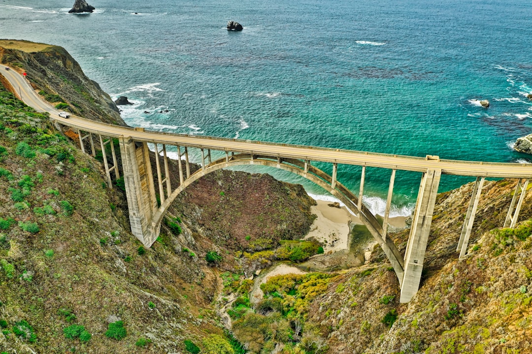 aerial photography of bridge