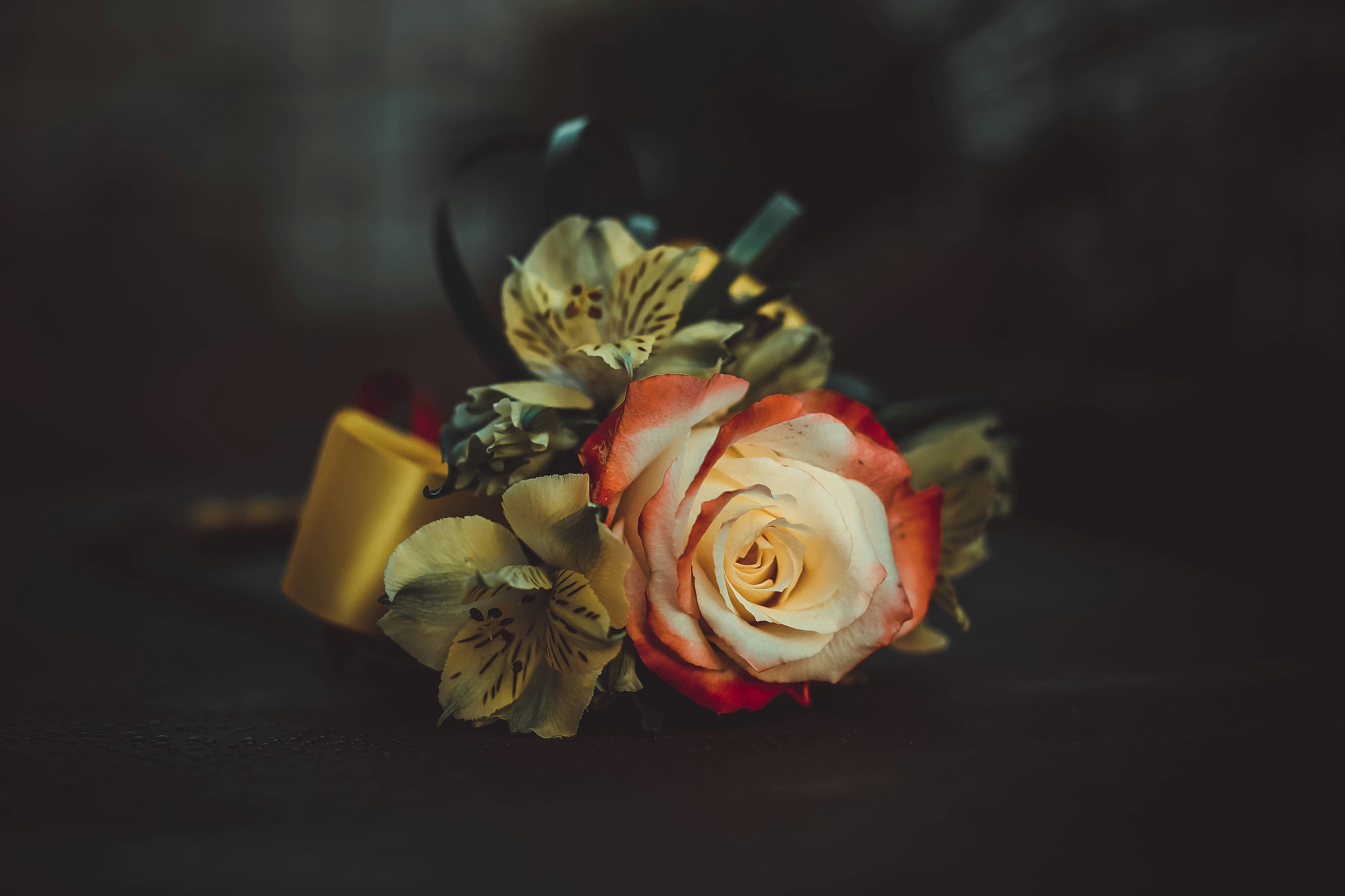 Photo by sindystrife