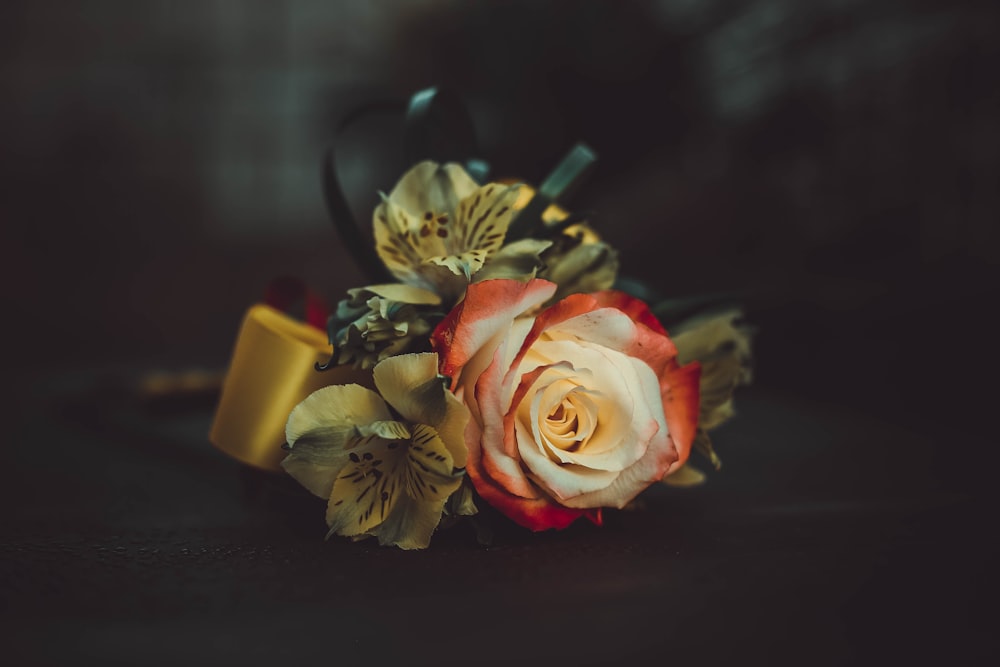 shallow focus photo of red and yellow flowers