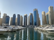 city buildings during daytime