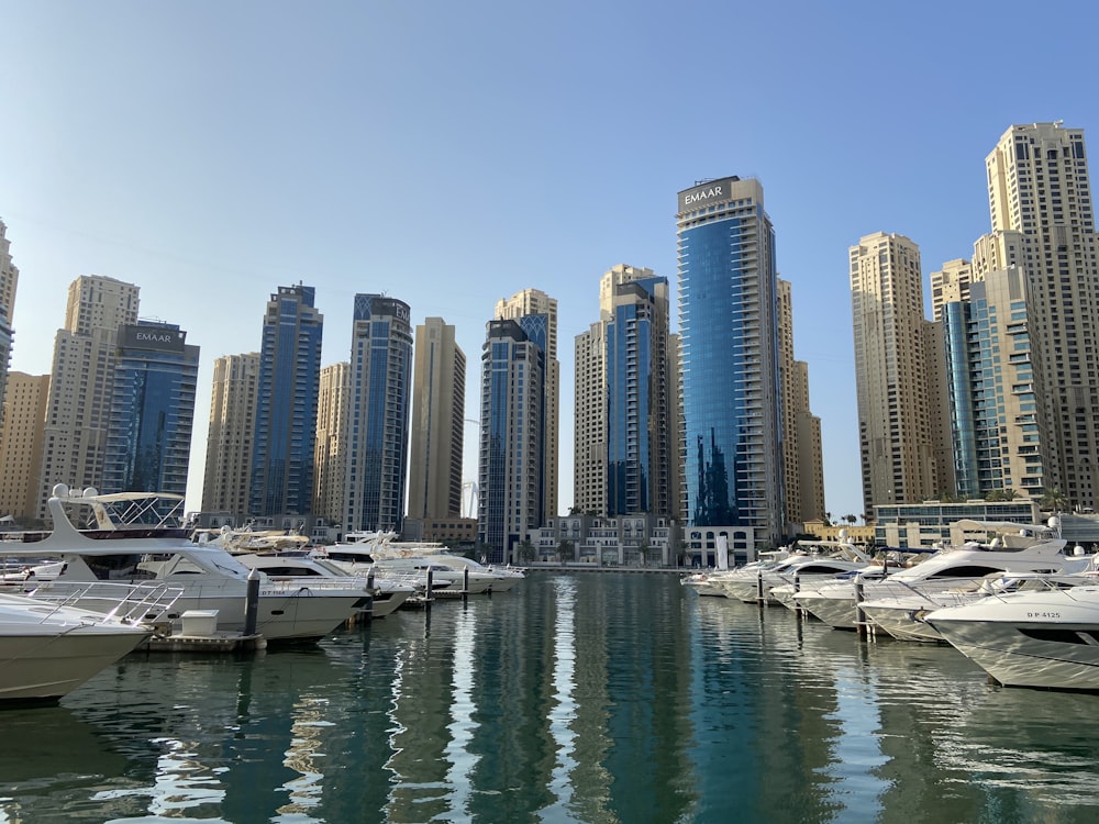 city buildings during daytime