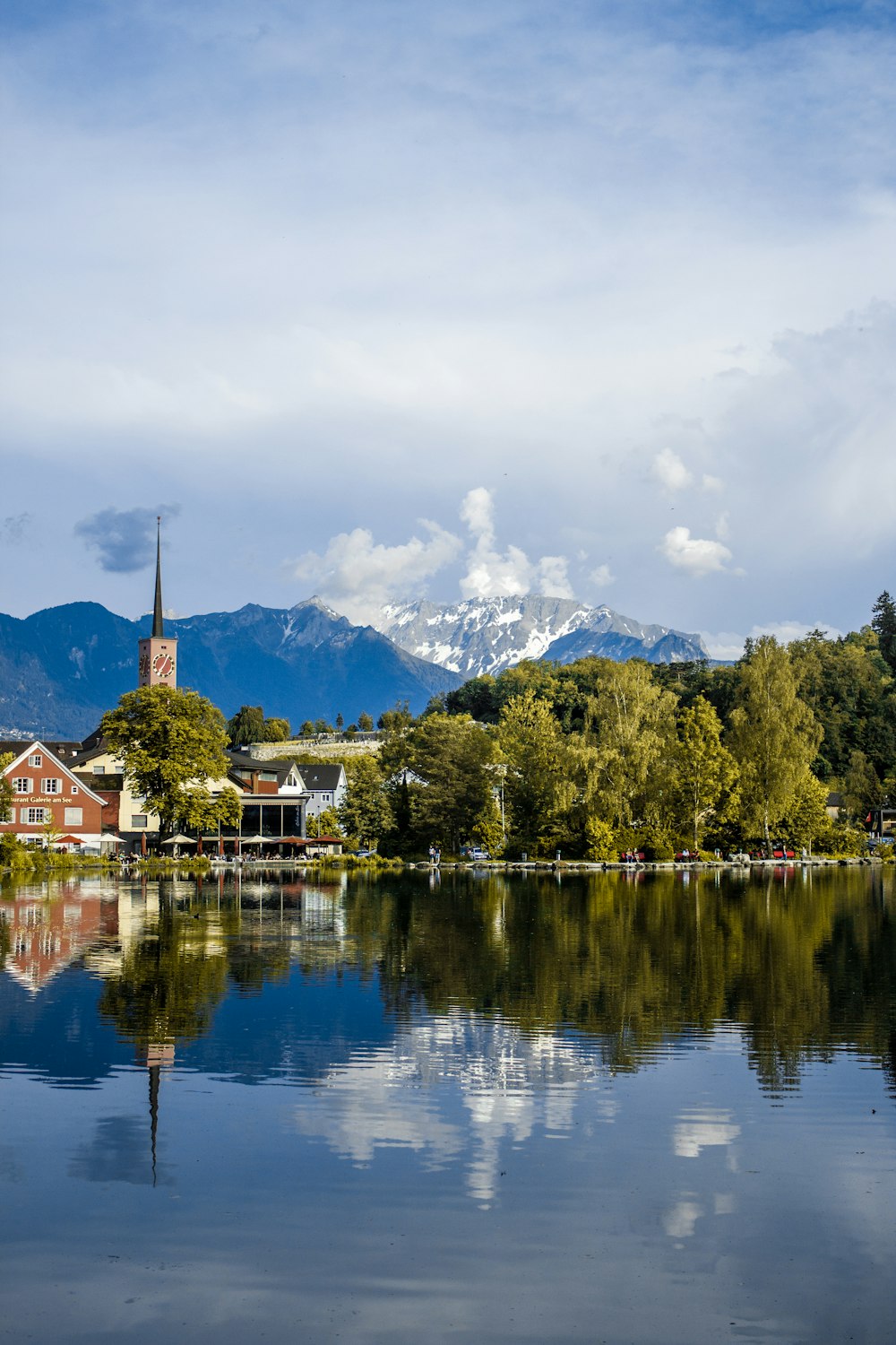 houses near body of water beside trees