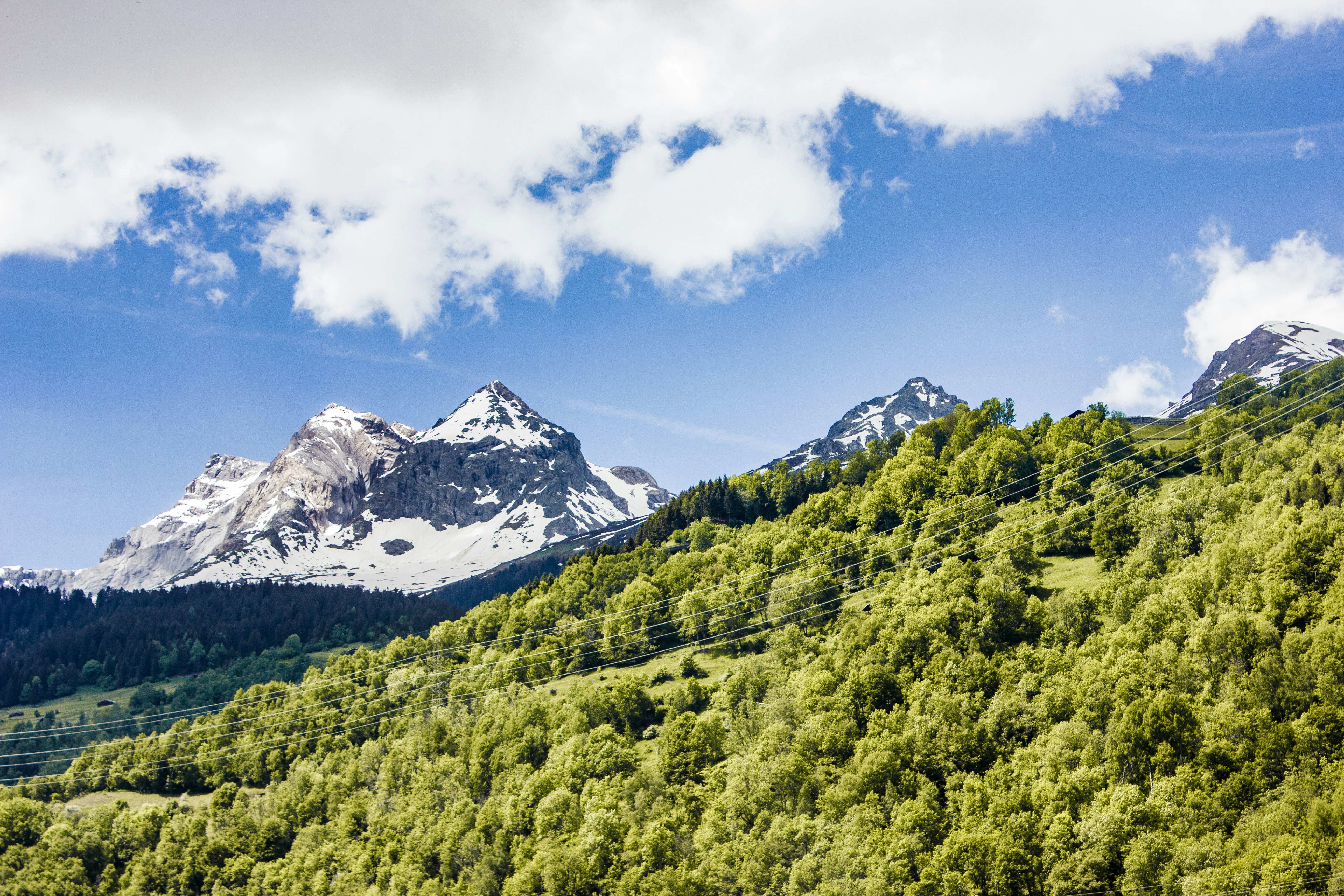 How do Charedim balance financial hishtadlus (effort) with bitachon (trust in Hashem)?