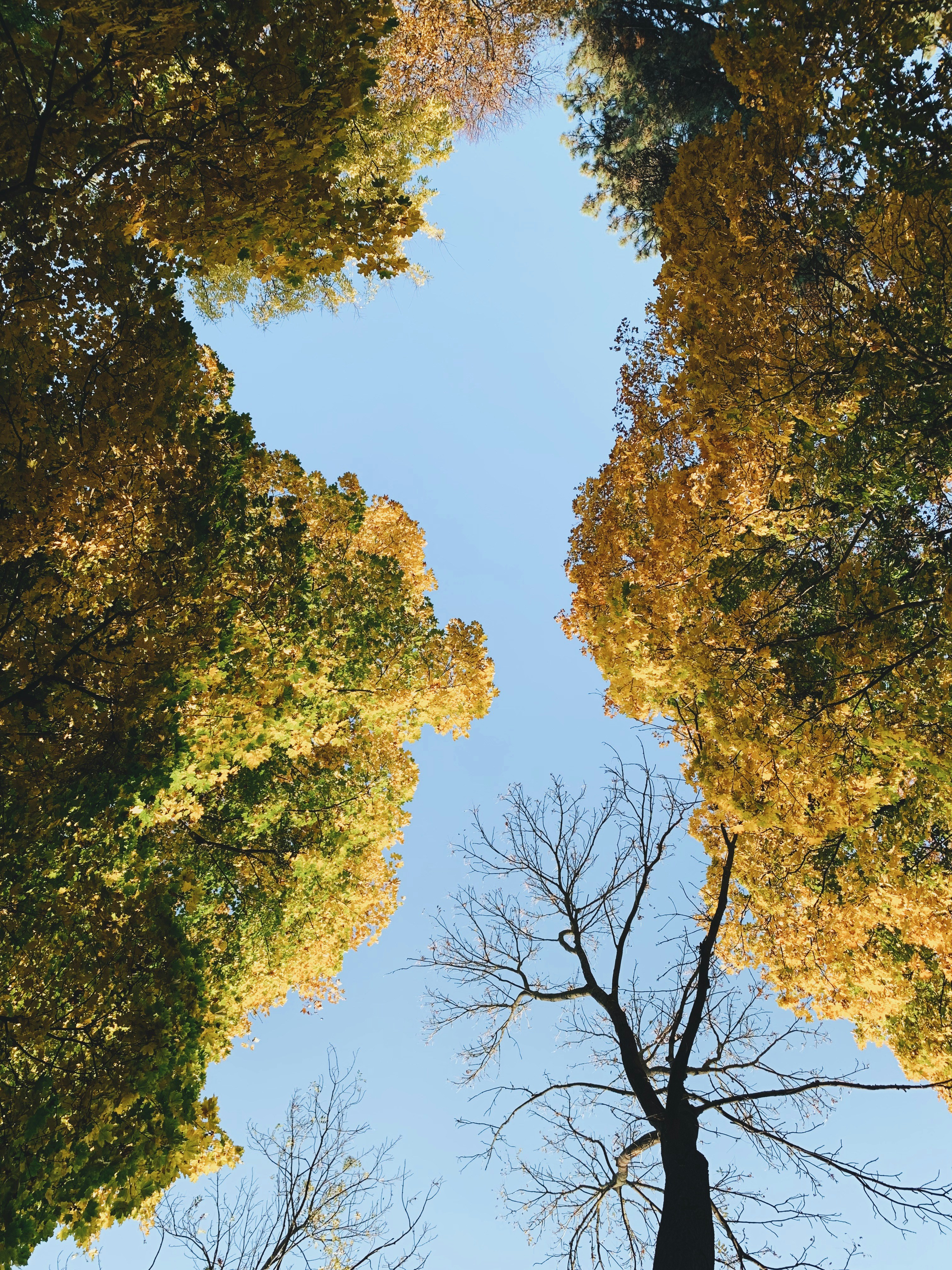 Photo by seabehindme