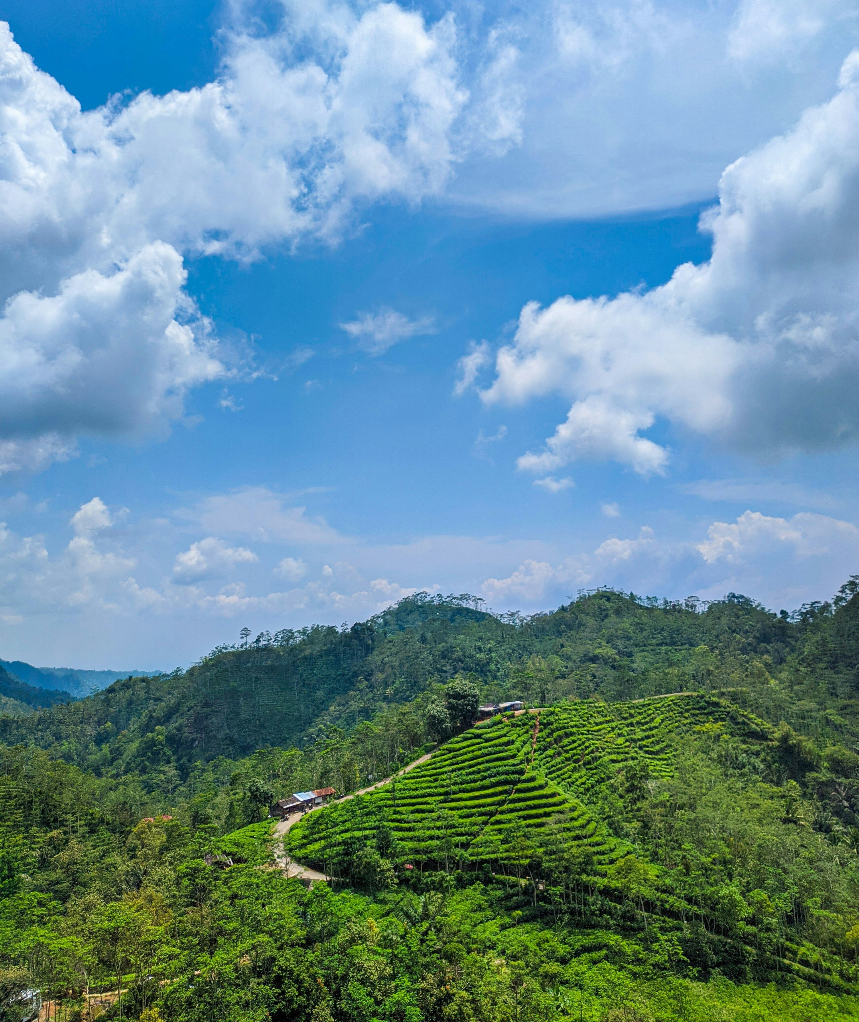 Photo by kurniawankamisaputra