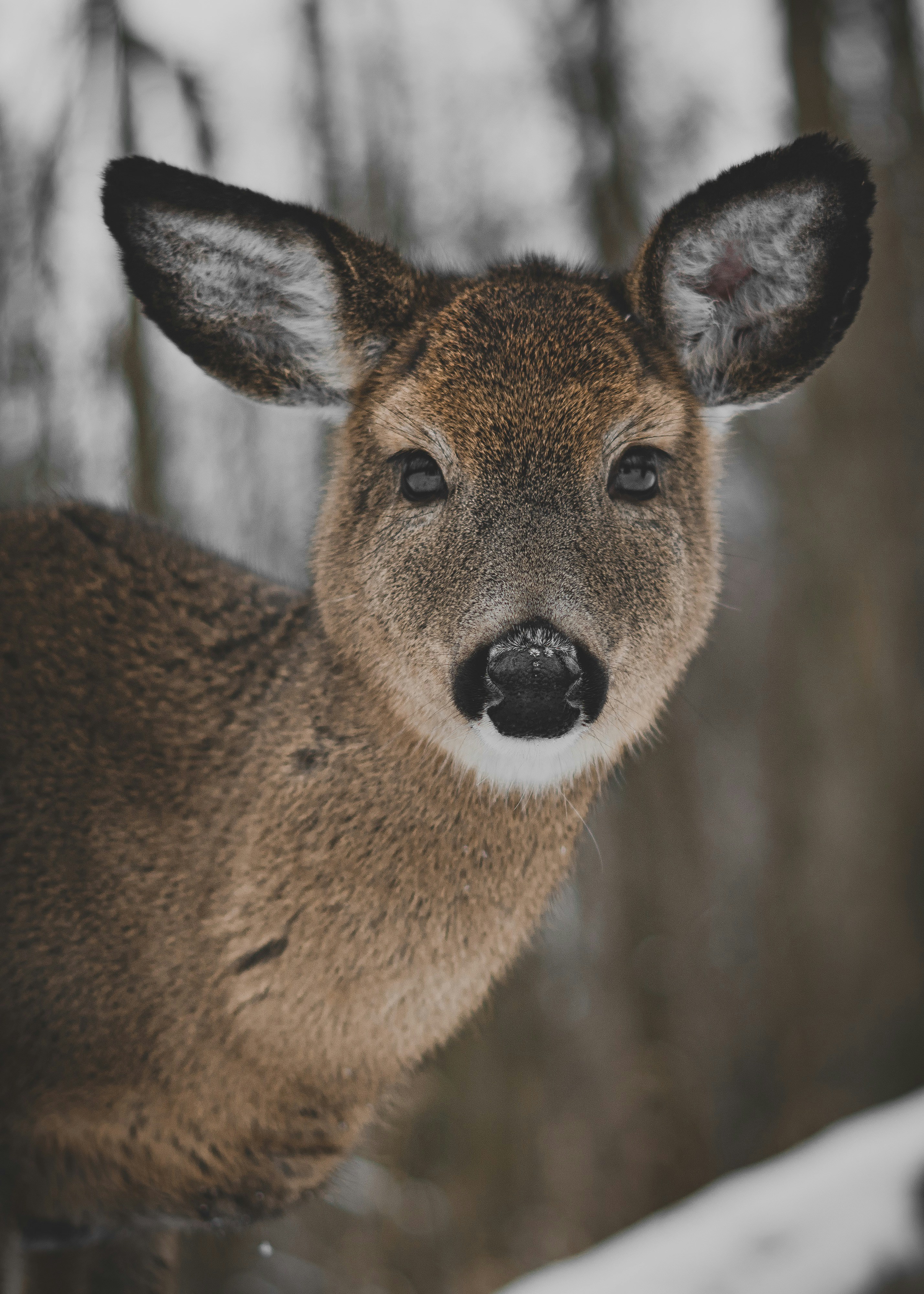 Photo by julien_labelle_photographie