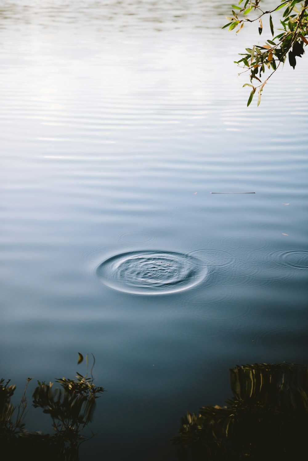 body of water during daytime