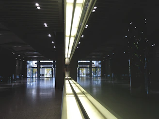 A clean, freshly finished floor reflecting natural light in a modern interior.