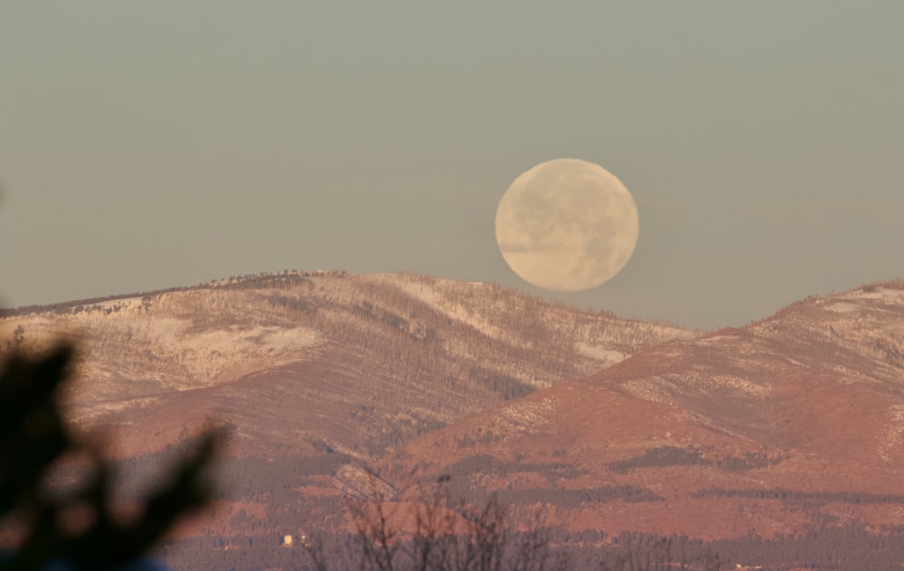 brown mountains during daytime