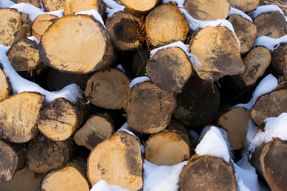 a pile of cut logs covered in snow