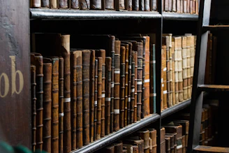 books on bookshelf near ladder