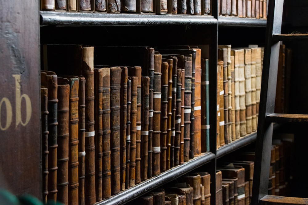 books on bookshelf near ladder