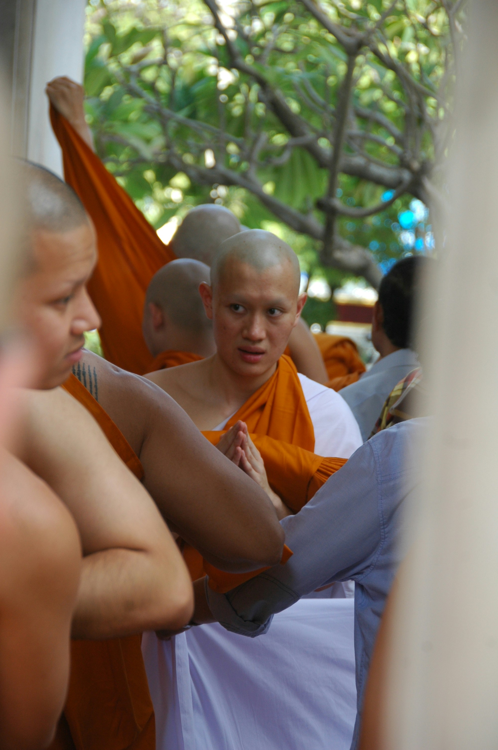 monks near trees