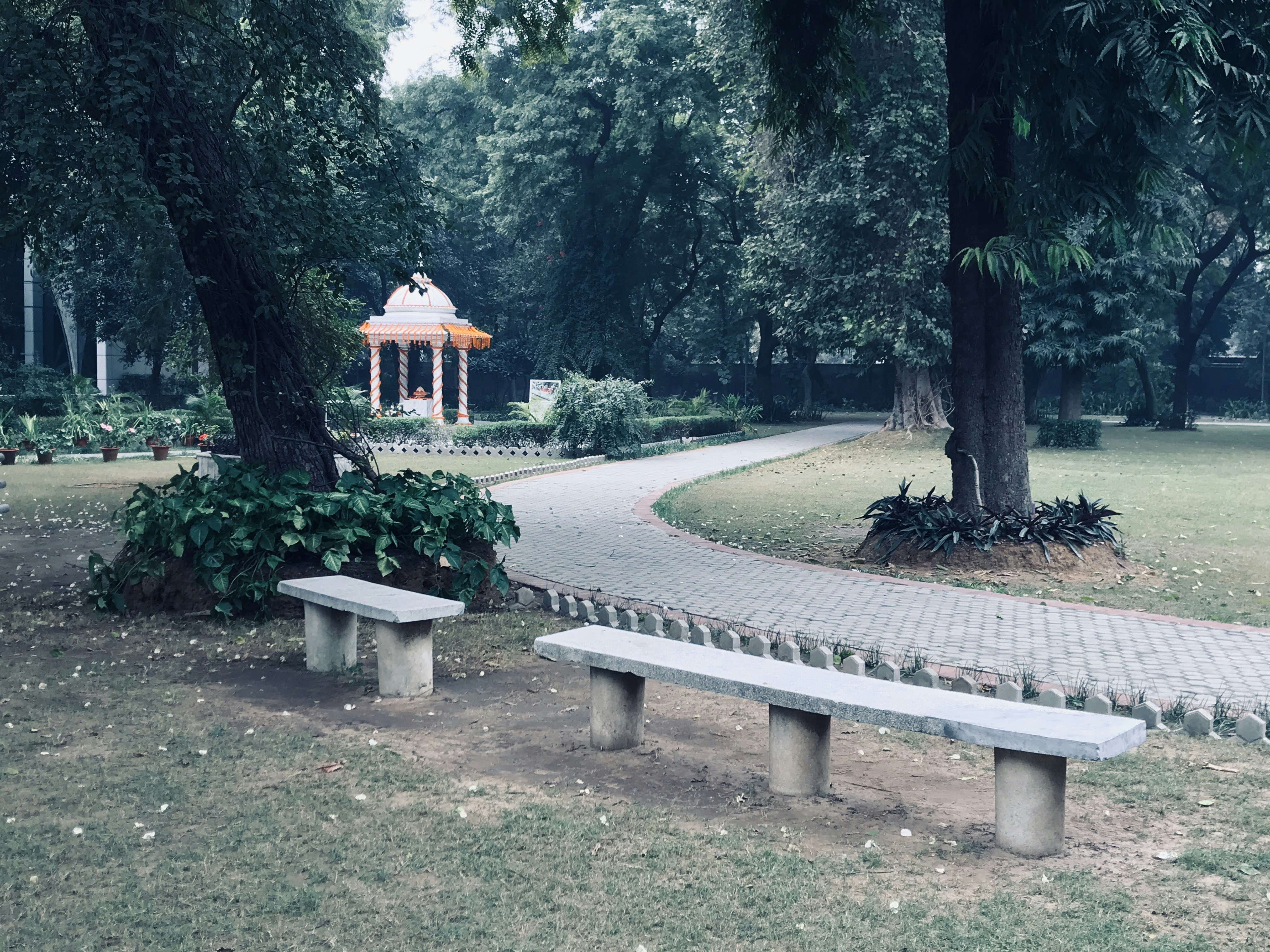 Photo by shouryashukla