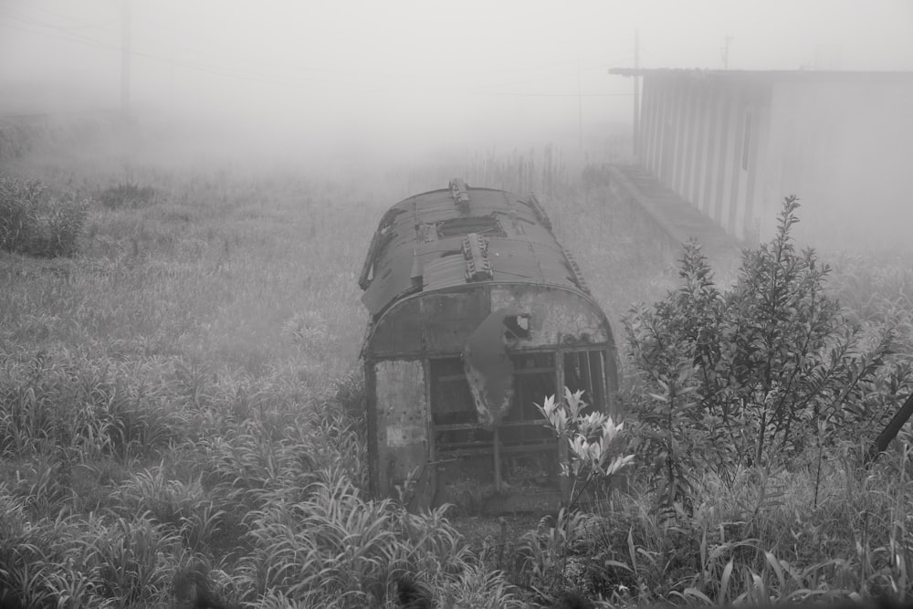 Un treno che è seduto nell'erba