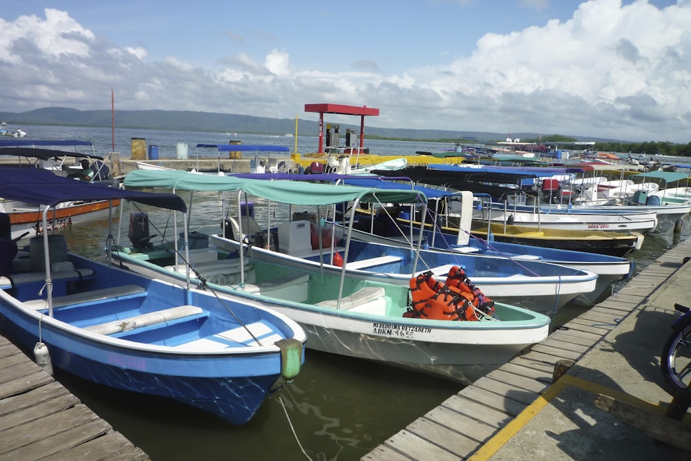 docked of boats