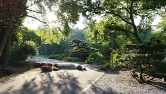 A serene urban park with native plants and walking paths under soft natural light.