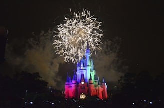 fireworks at night
