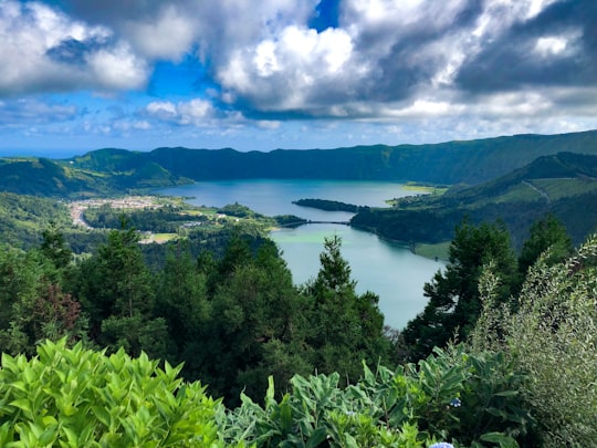 forest and body of water during day in Miradouro da Vista do Rei Portugal