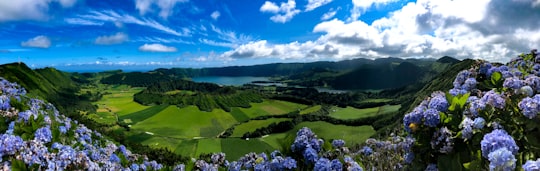 aerial view of flower field during daytime in Lagoa das Sete Cidades Portugal