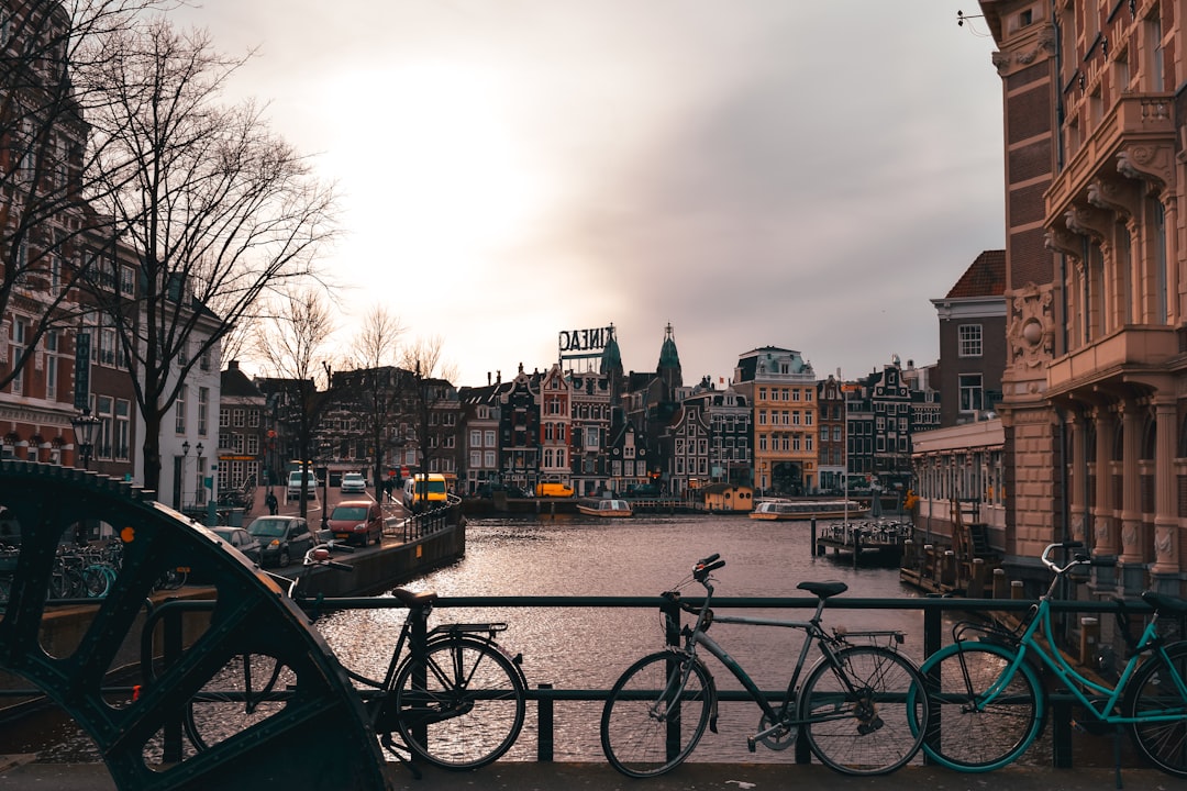 bikes parked beside railing near body of water and buildings during day,