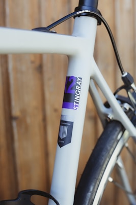 A close-up view of a bicycle frame showing the branding and design details. The frame is primarily a light gray color with a decal displaying the words 'Stingray' and 'R2'. The text is accented with purple and black elements. The bicycle appears to be leaning against a wooden background.