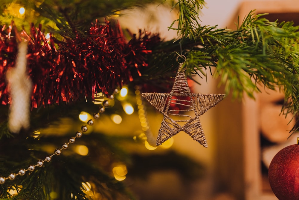 star ornament on tree