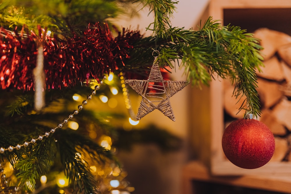 red bauble on tree