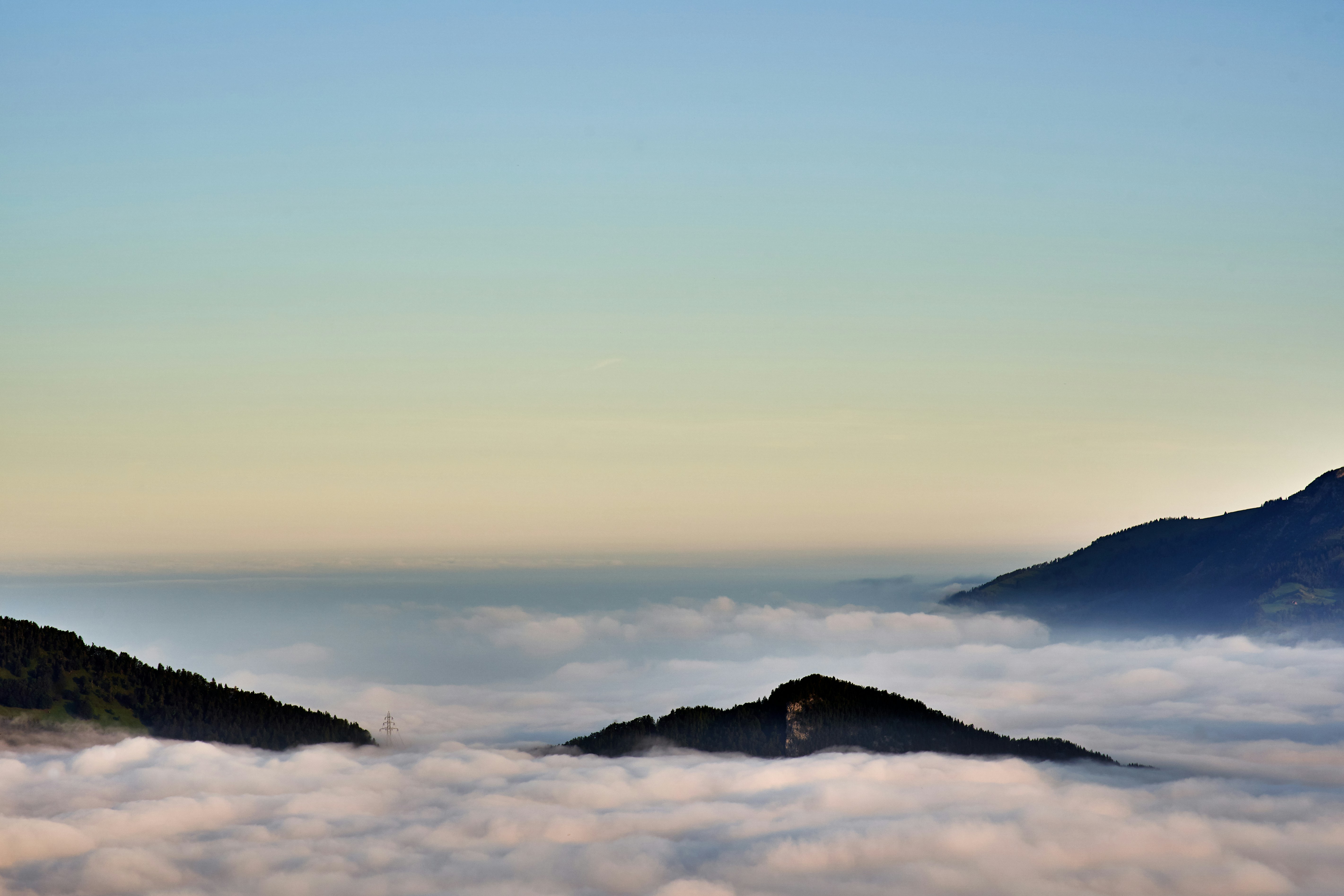 Photo by wolfgang_hasselmann