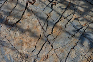 cracked ground