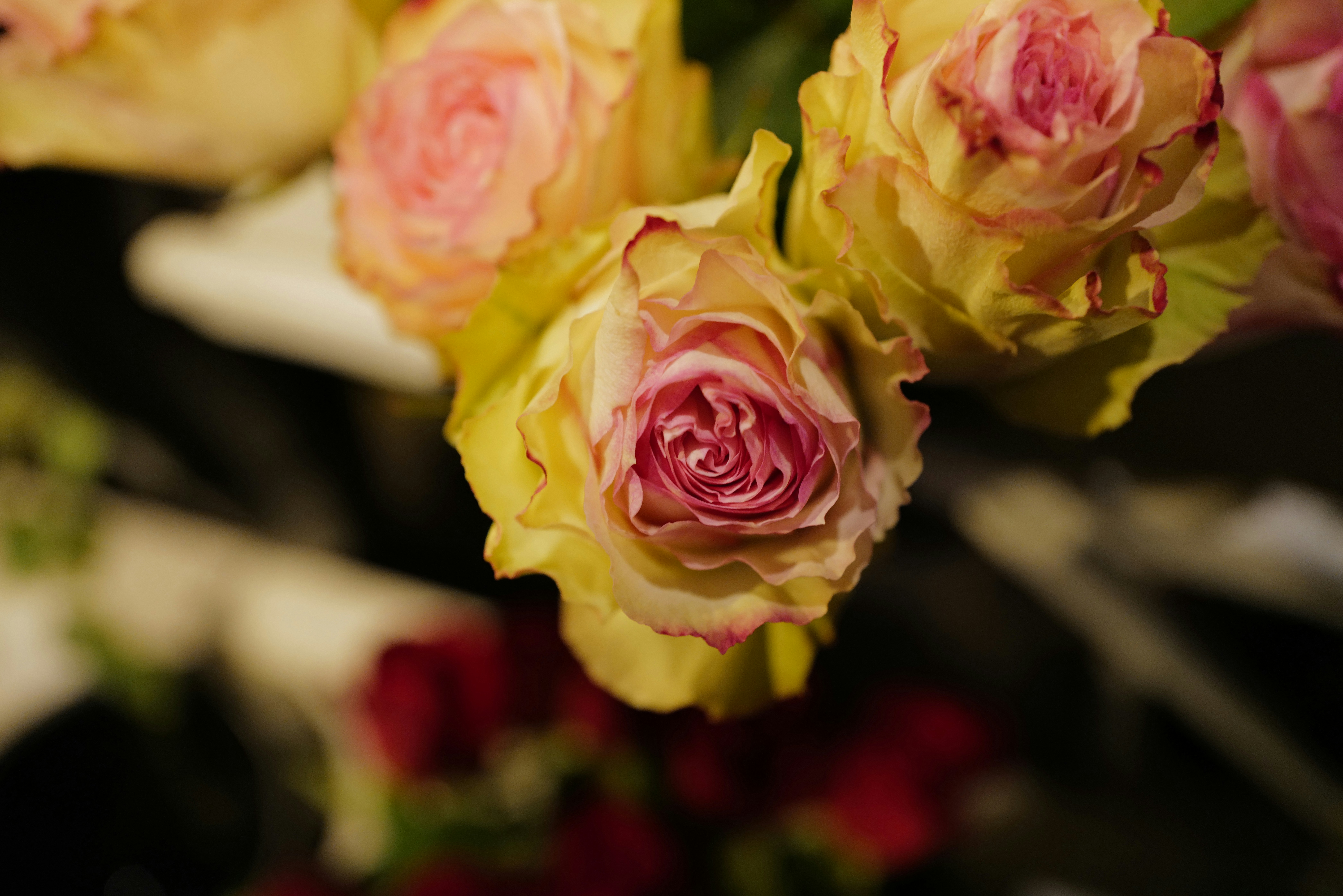 Photo by georgeiermann