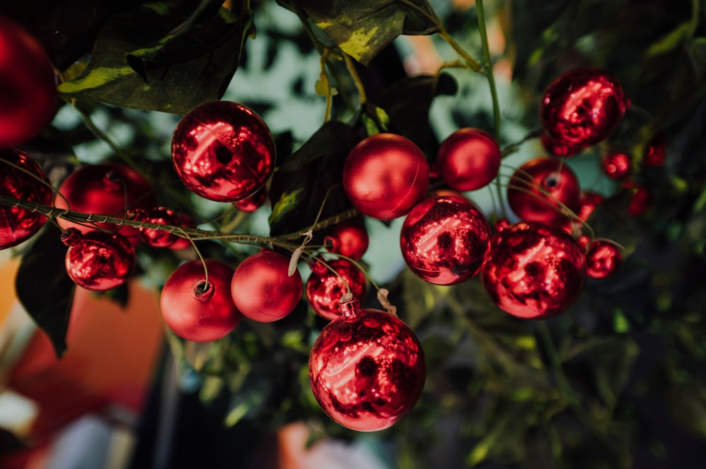 red baubles