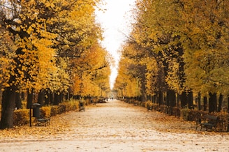 Vienna, Schönbrunn by Jade Stephens 
