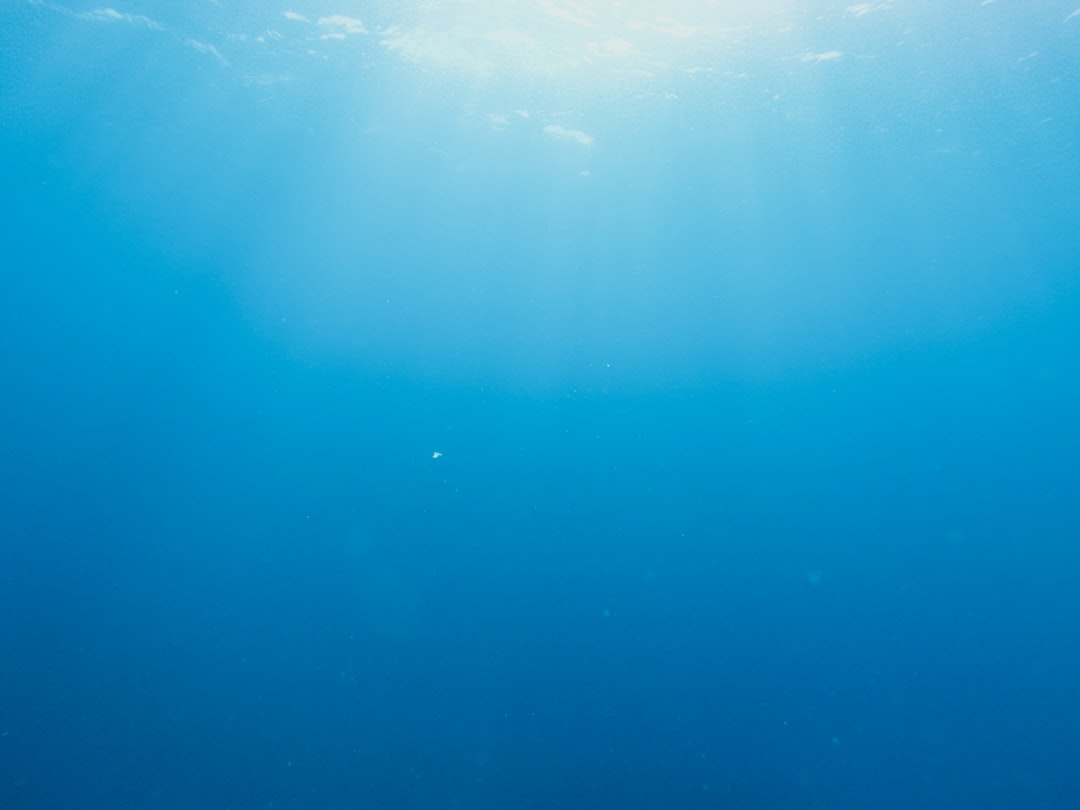 Underwater photo spot Tenerife Canary Islands