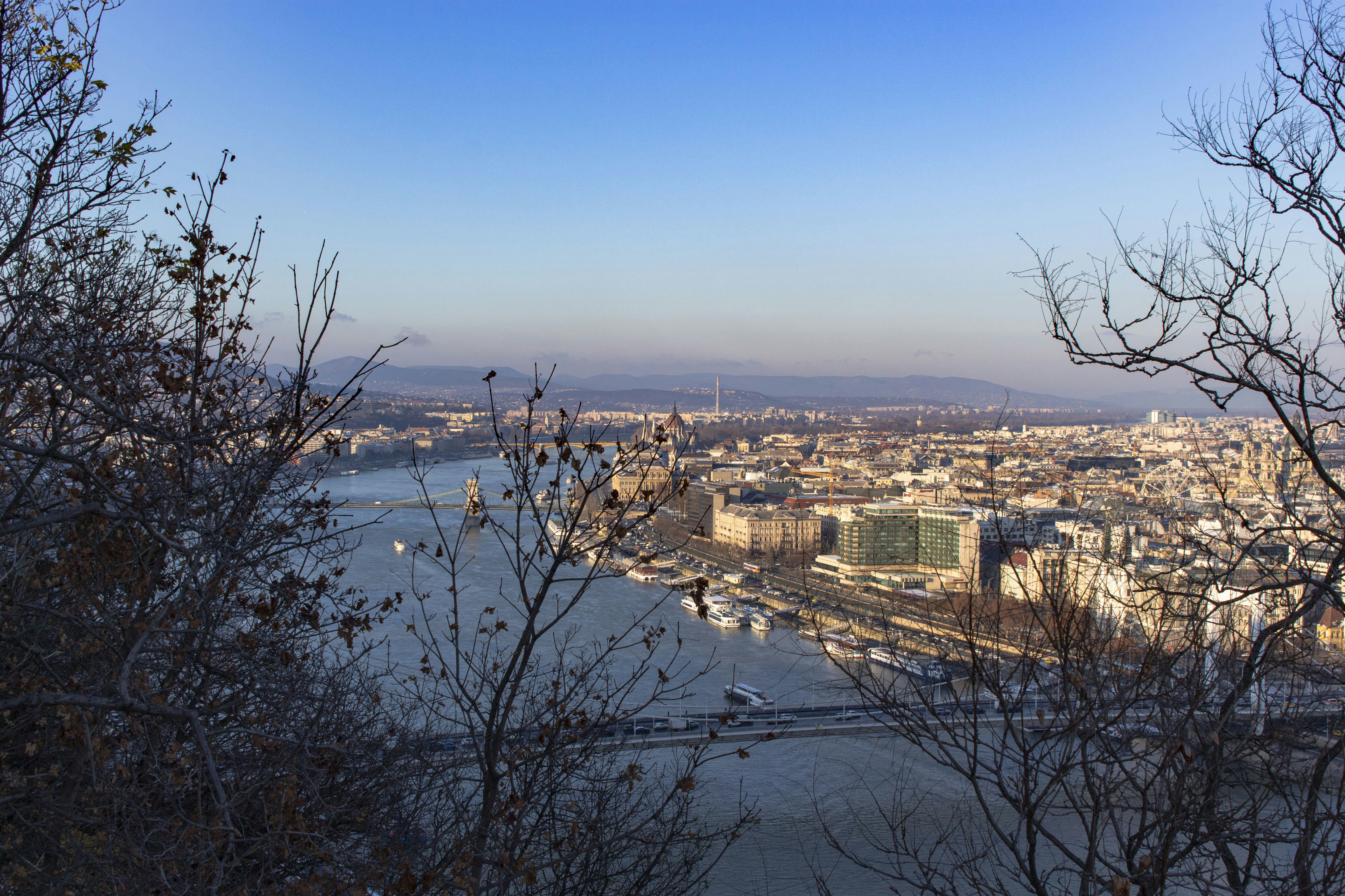 Photo by thomsonwinkler